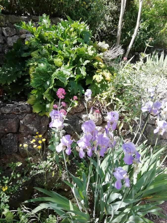 Chambre D'Hote Le Mas Des Romarins Les Arcs-sur-Argens Exterior foto